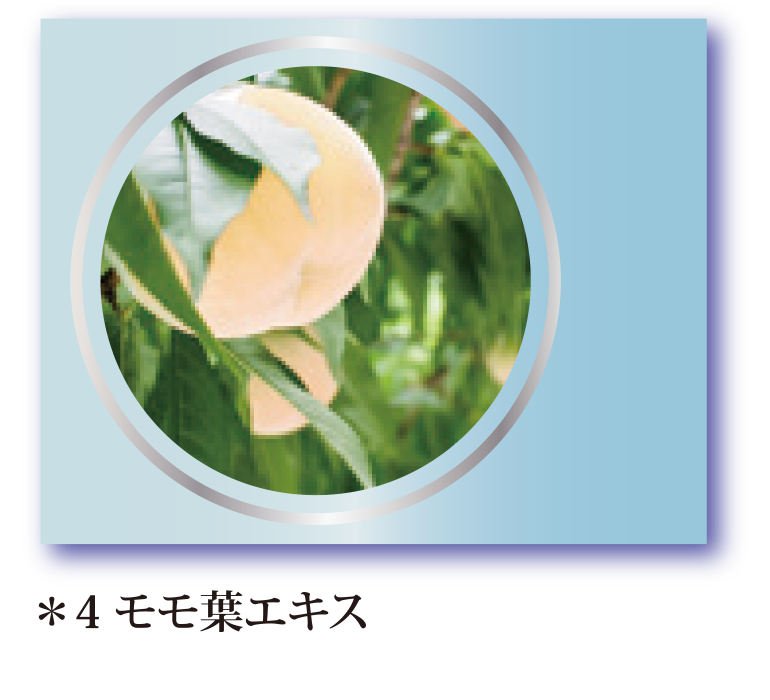 白桃リーフエキス