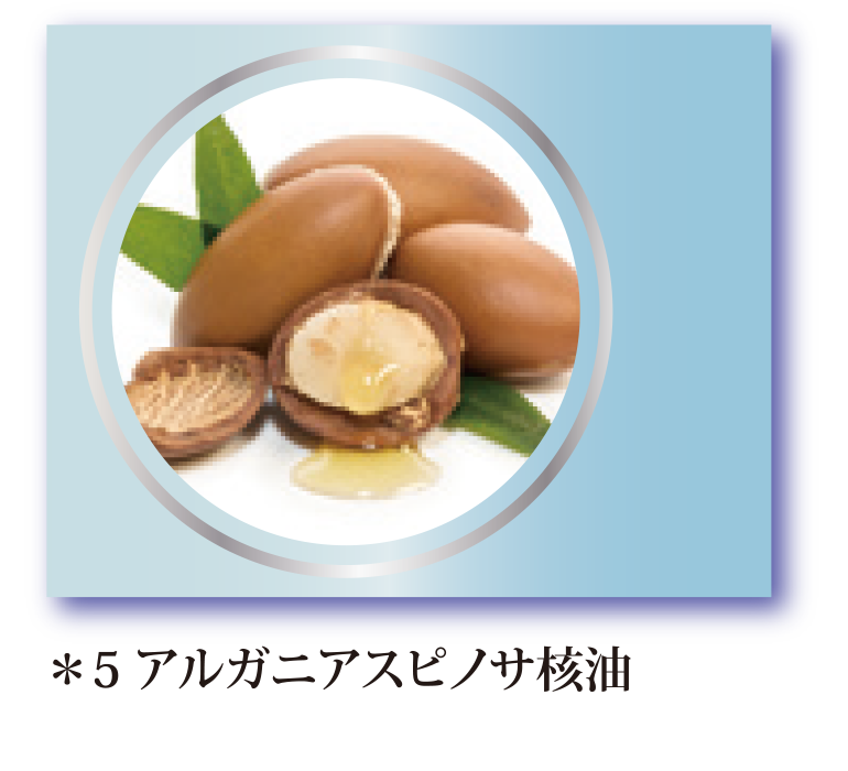 アルガンオイル