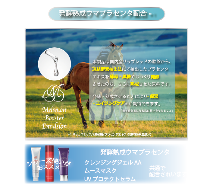img3_1sp