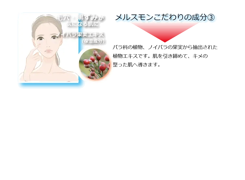 PC_SP4