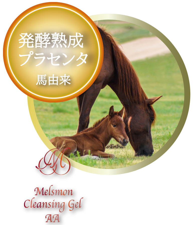 発酵熟成プラセンタ 馬由来