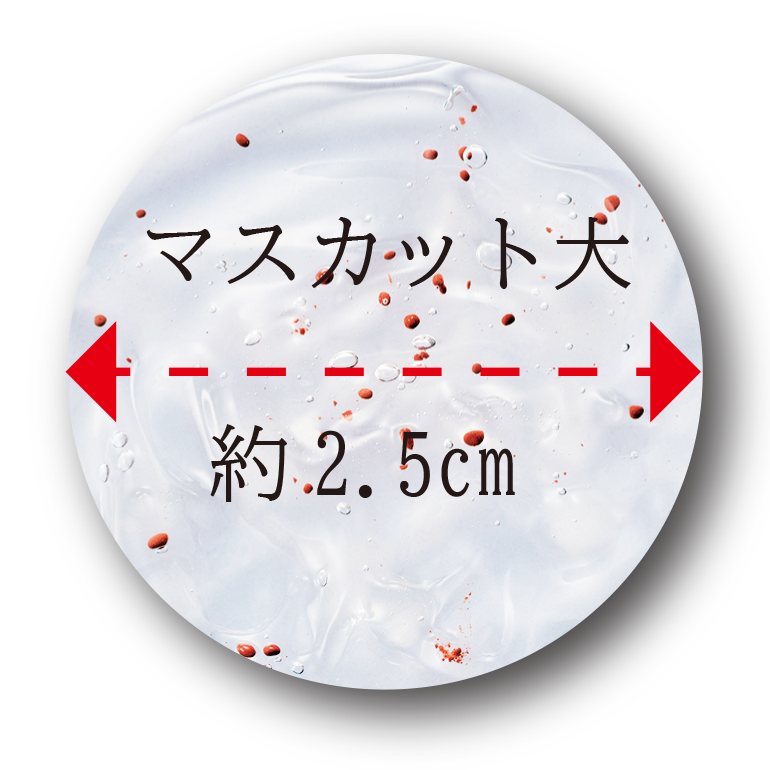 手順1