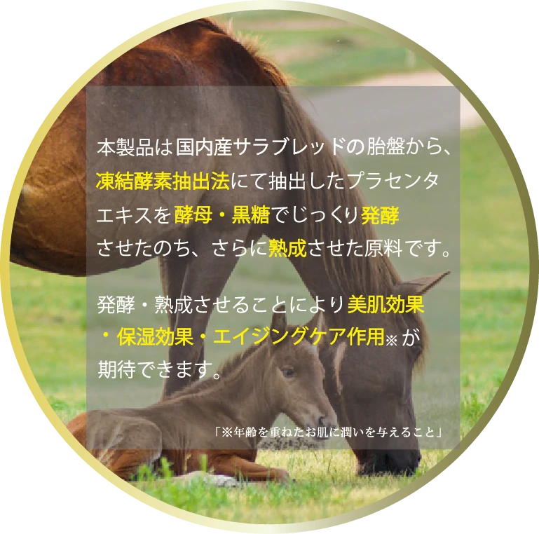 SP特長1_2