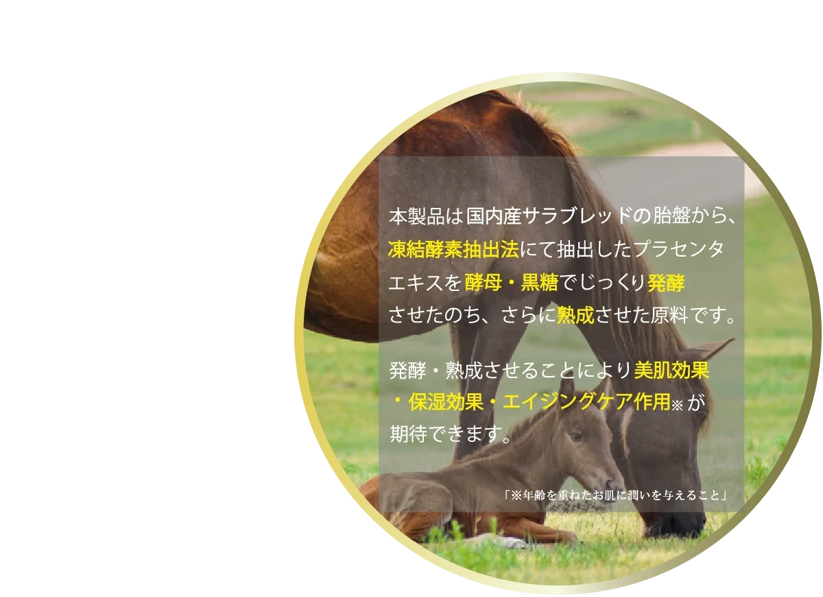 PC特長1_2
