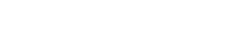 MELSMON