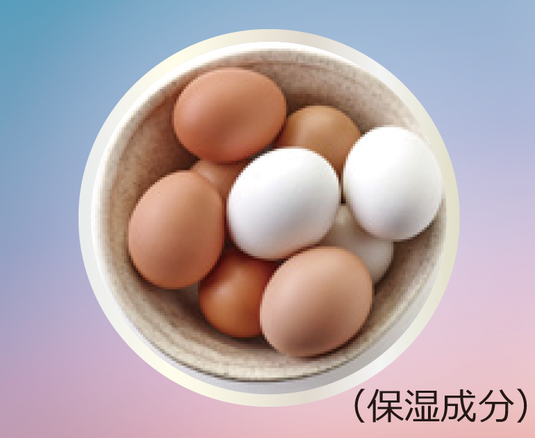 卵殻膜