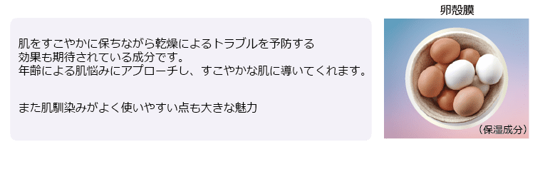 img5_sp_3