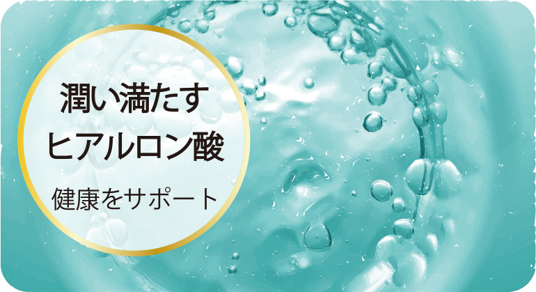 潤い満たすヒアルロン酸で健康をサポート