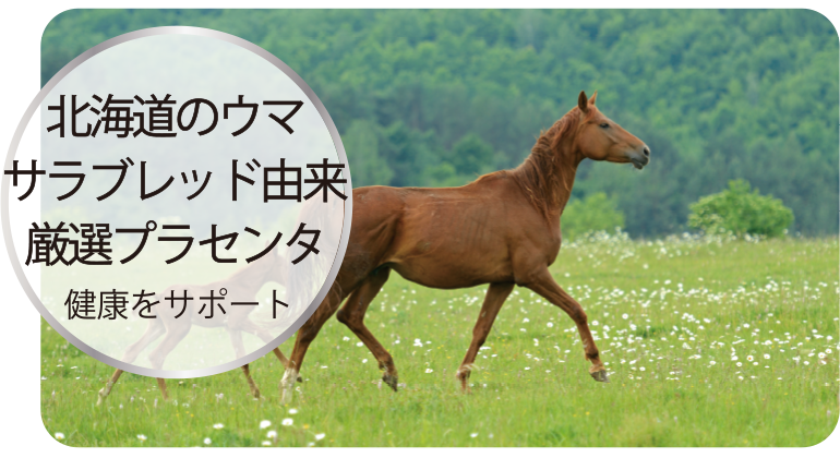 北海道のウマ（サラブレッド）由来厳選プラセンタで健康をサポート